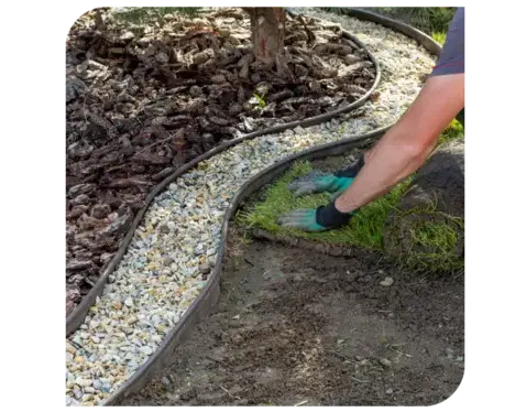 ouvertures Corseul-2