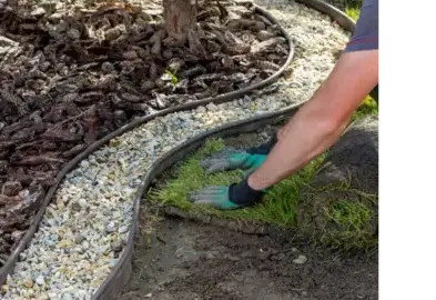 ouvertures Plancoët-1