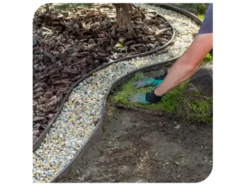 ouvertures Trélivan-4